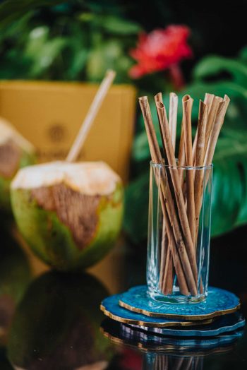 100% Natural Coconut Straws